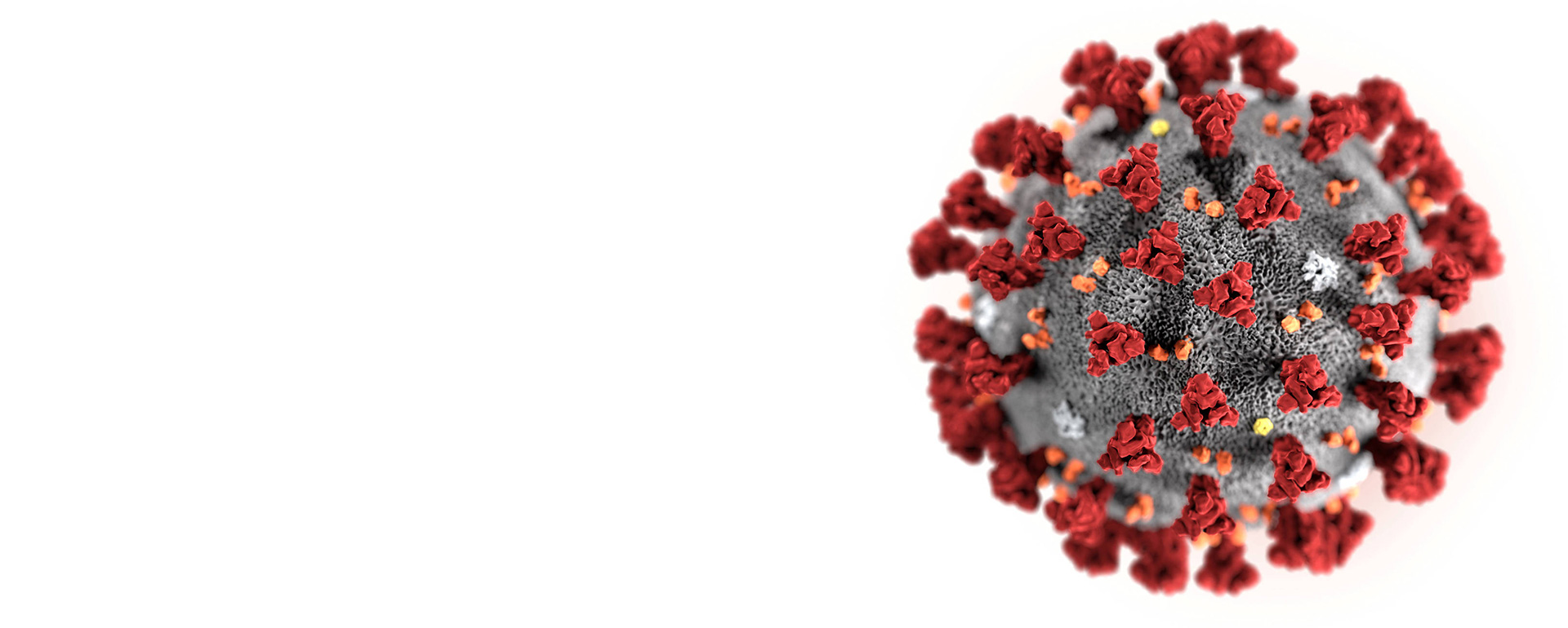 virus